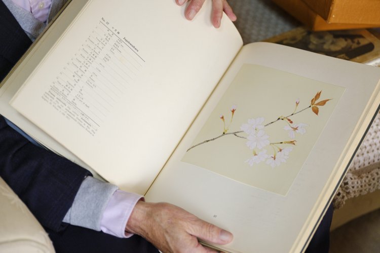 京都まで押しかけ、粘り勝ちで手に入れた『桜花抄』。約110種の桜が載っている。