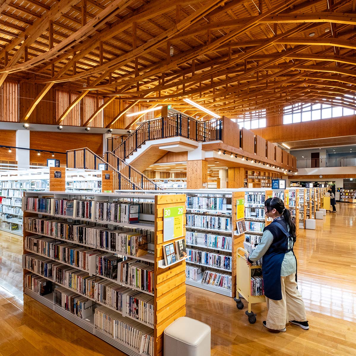 連接サスペンアーチ構造の天井が目を引く図書館。テーマごとに分類され、目的の本を探しやすい。