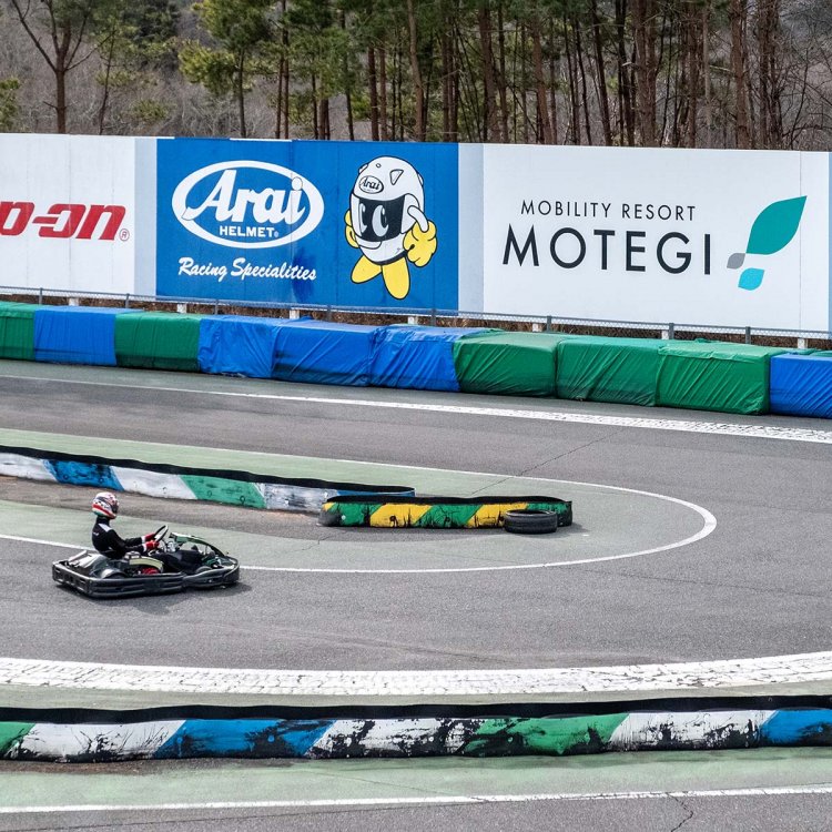 カートの運転には一定の条件が設けられ、事前予約も必要だ。