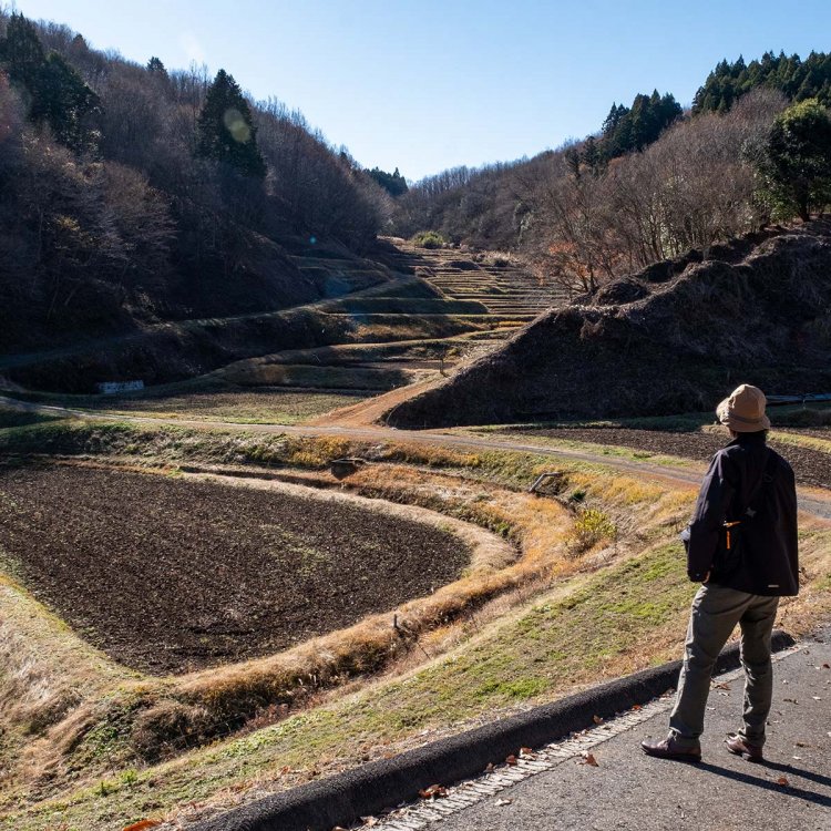 農閑期の棚田ならではの哀愁も味わい深い。