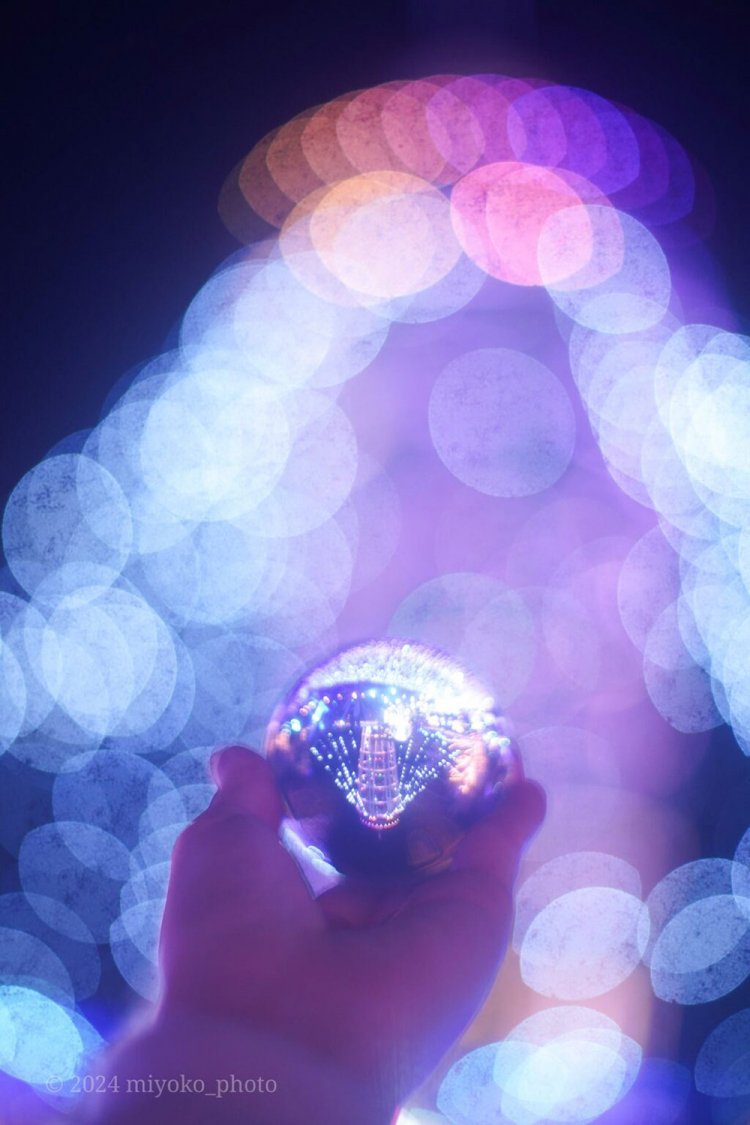 【camell】Takumar 50mm F1.4