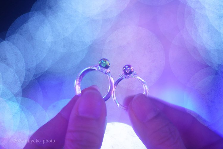 【camell】Takumar 50mm F1.4