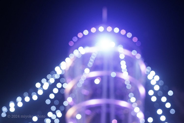 【camell】Takumar 50mm F1.4