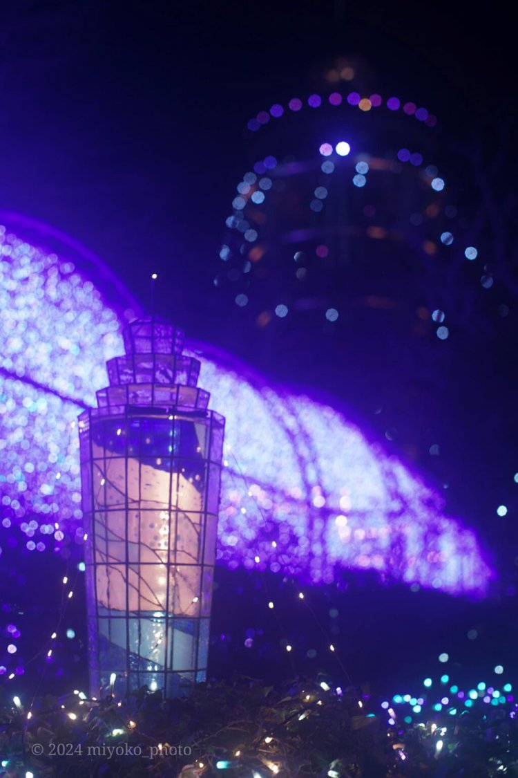 【camell】Takumar 50mm F1.4