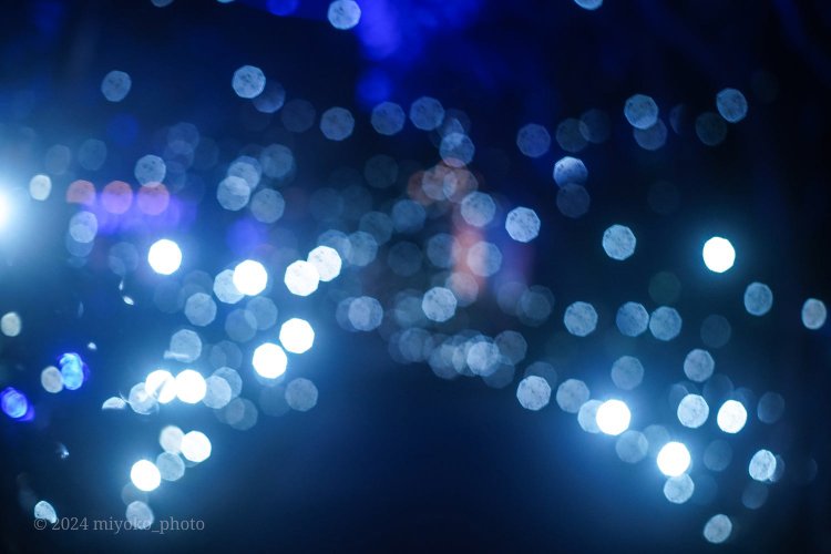 【camell】Takumar 50mm F1.4