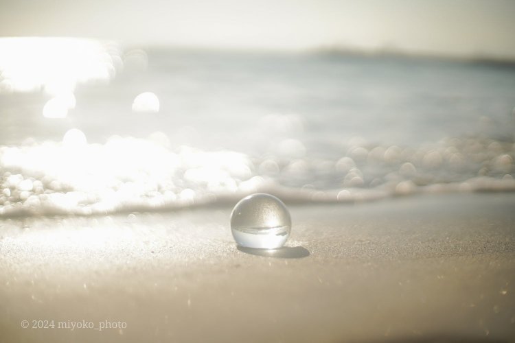 【camell】Takumar 50mm F1.4