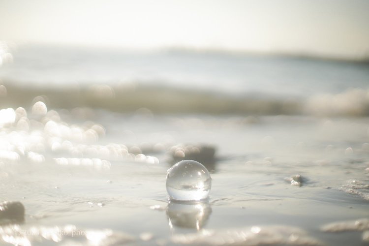 【camell】Takumar 50mm F1.4