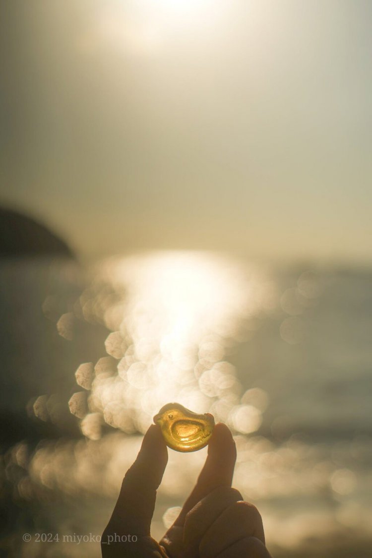 【camell】Takumar 50mm F1.4