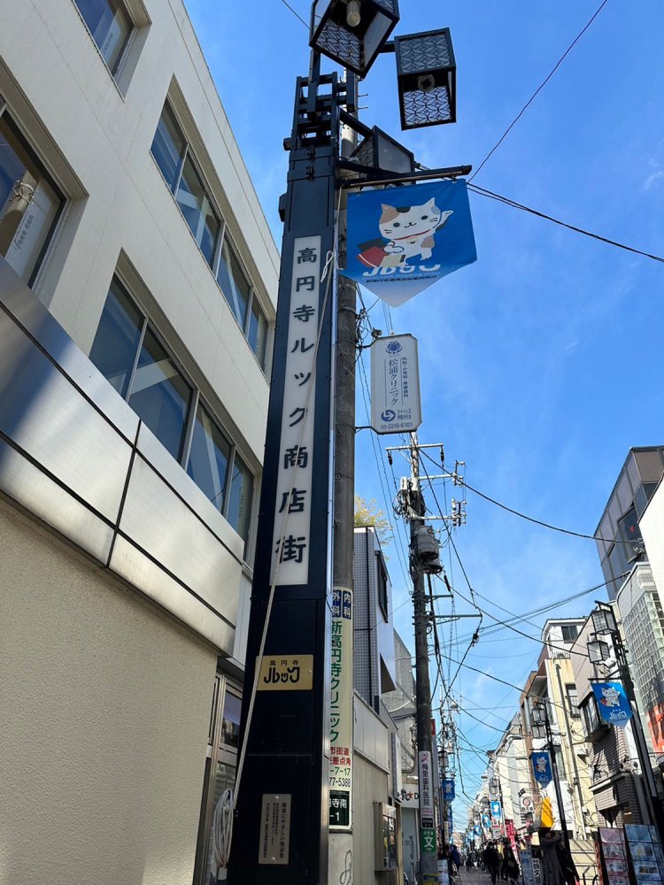 アンゴラM_240317_13