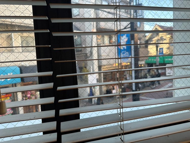 アンゴラM_240317_3