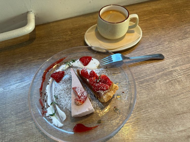 アンゴラM_240317_4