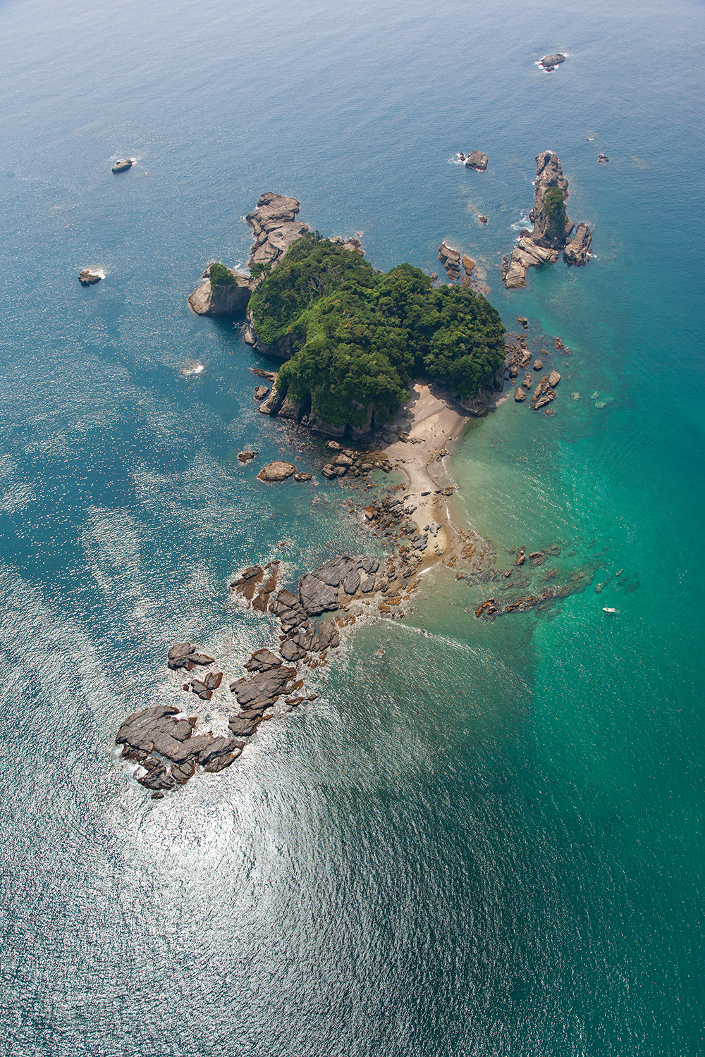 古座川河口からすぐの沖にある九龍島には、小さい島ながらも亜熱帯性植物が生い茂る。
