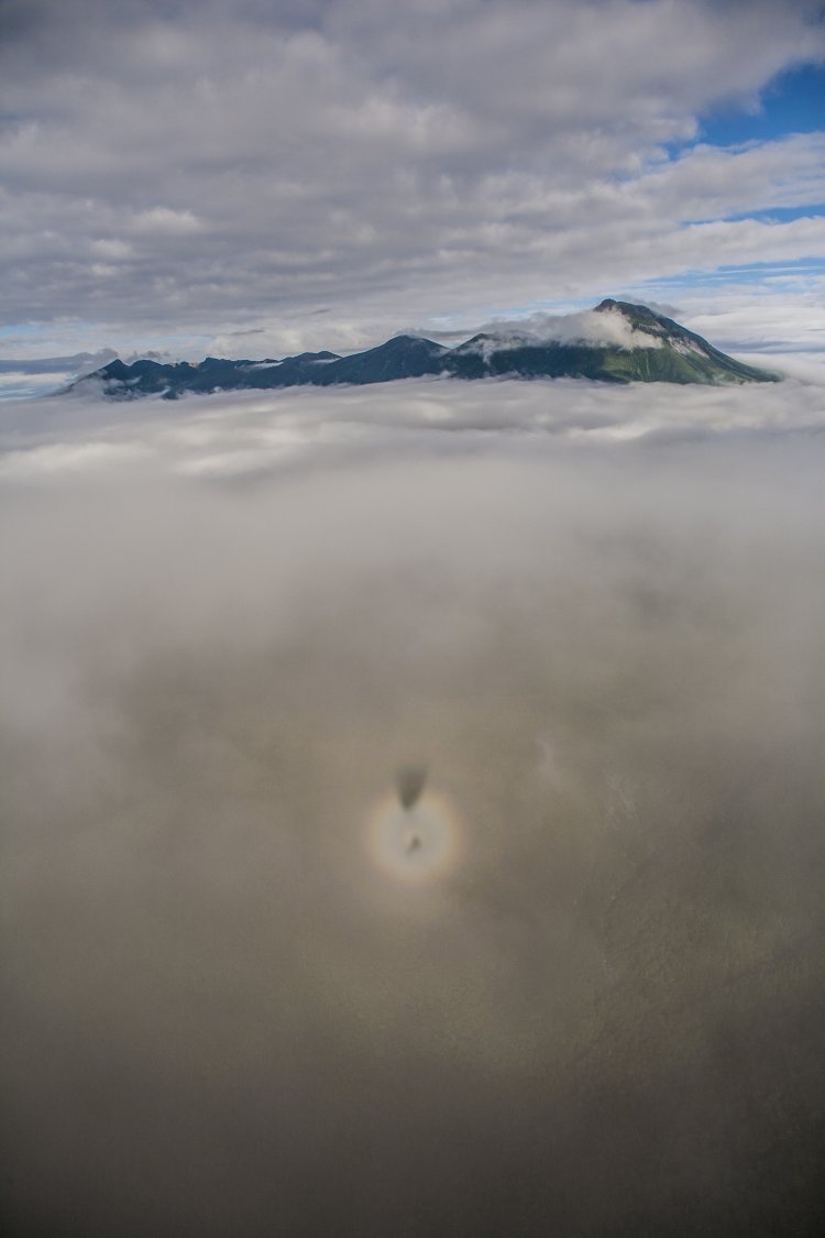 雲に映った自分の影の周りに虹が見えるブロッケン現象。奥には見えるのは知床連山。右端が羅臼岳。