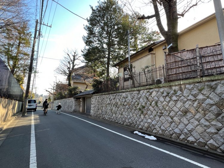 道沿いには庭付きの広いお屋敷もちらほら。シズ子の家もこんなだったろうか?