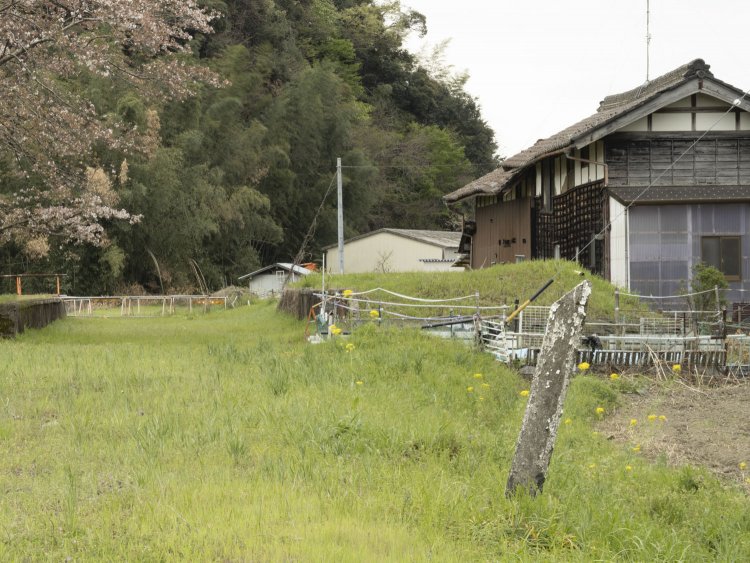 本の棒はキロポスト。数字は削れて判明できないが、起点の黒野駅からの距離が刻まれていた。2021年4月3日撮影。