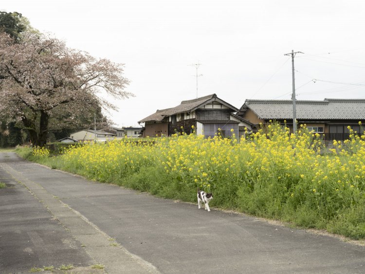 廃なるものを求めて更地駅20210403-_0FJ1307