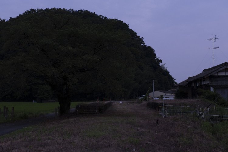 夜の更地駅へ到着したが、辛うじてホームが残っているのが判別できるくらいだった。2020年7月20日撮影。