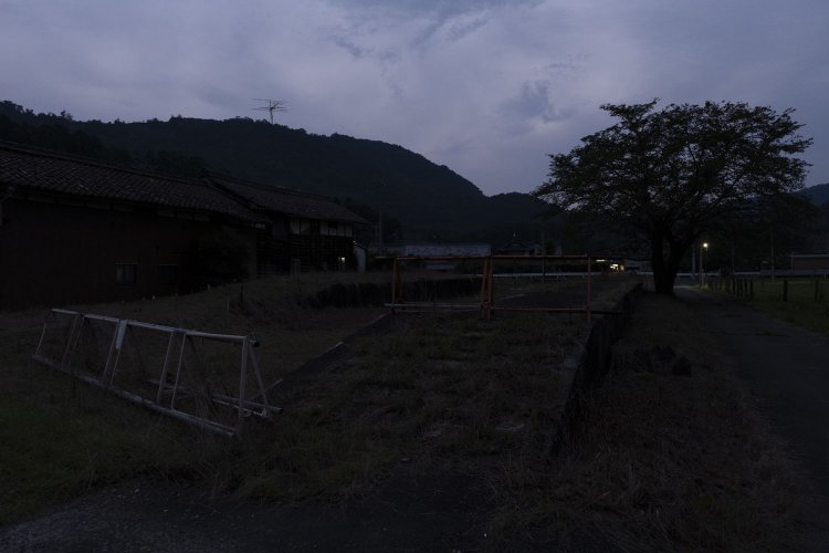 うっすらと立入禁止の柵が浮かんで見えた。その先に樹木とホームがあるのだが……。2020年7月20日撮影。