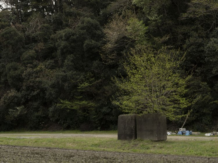 更地駅とは直接関係ないと思われるが、田畑に謎のコンクリートの塊から若木が生えていた。この空間だけ炭鉱跡のような雰囲気が漂って気になって仕方ない。2021年4月3日撮影。