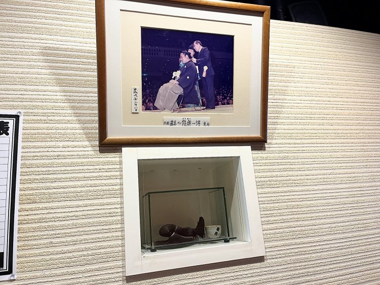 断髪式で切られた本物の大銀杏。