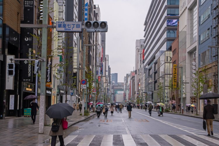 春の雨は植物たちにとって欠かせないものだ。出典：写真AC