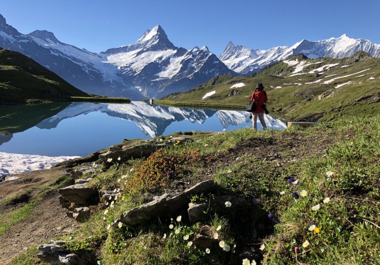 バッハアルプゼーの湖面にシュレックホルンが映る。