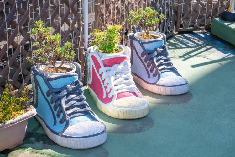 不思議だけどかわいいスニーカー型植木鉢も。