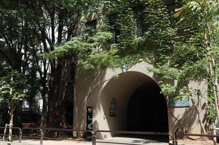 お茶の水・文化学院で追っていた夢を諦めた私が、今叶えたいこと