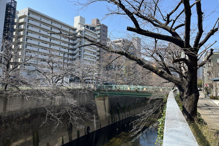 奥に見える緑色の橋が面影橋。