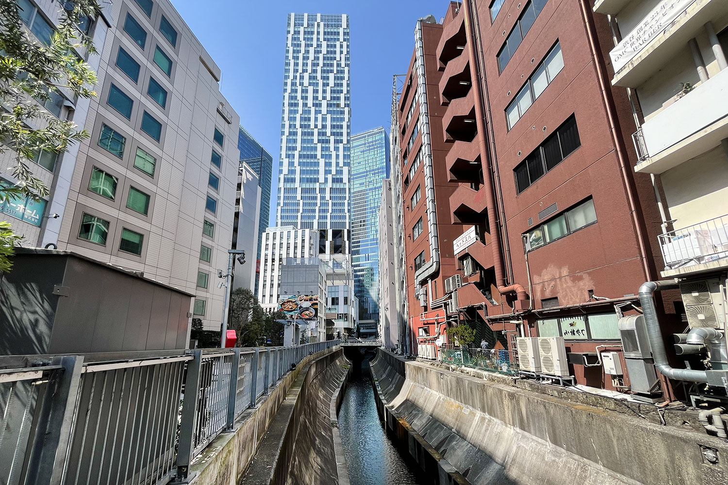 橋を下流から見るとこんな感じ。奥に見えるビルが「渋谷スクランブルスクエア」。