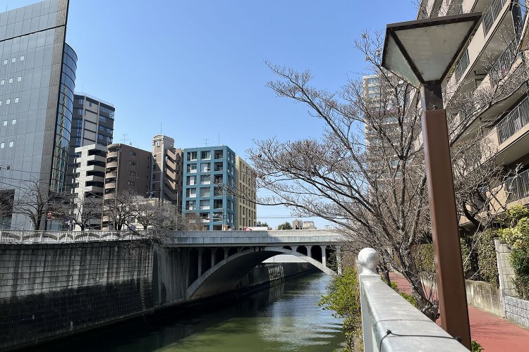 川の脇の遊歩道から橋を見上げるとこんな感じ。