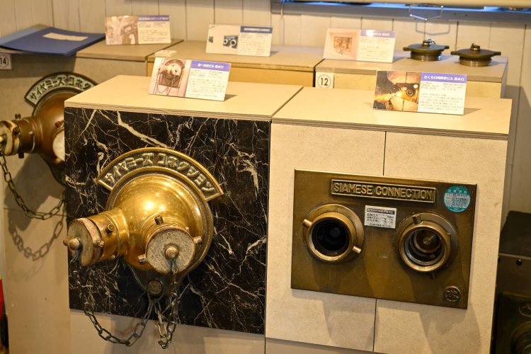 サイヤミーズコネクション（カタカナ表記）は希少。