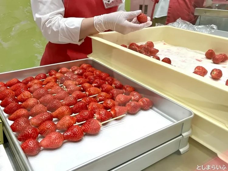 【としまらいふ】あまおういちご飴専門店【Strawberry Tiger】