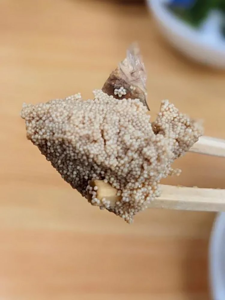 【酒場ナビ】大衆酒場DOUZE12+