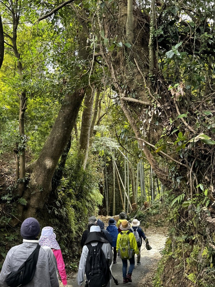 少し古道っぽくなってきた？