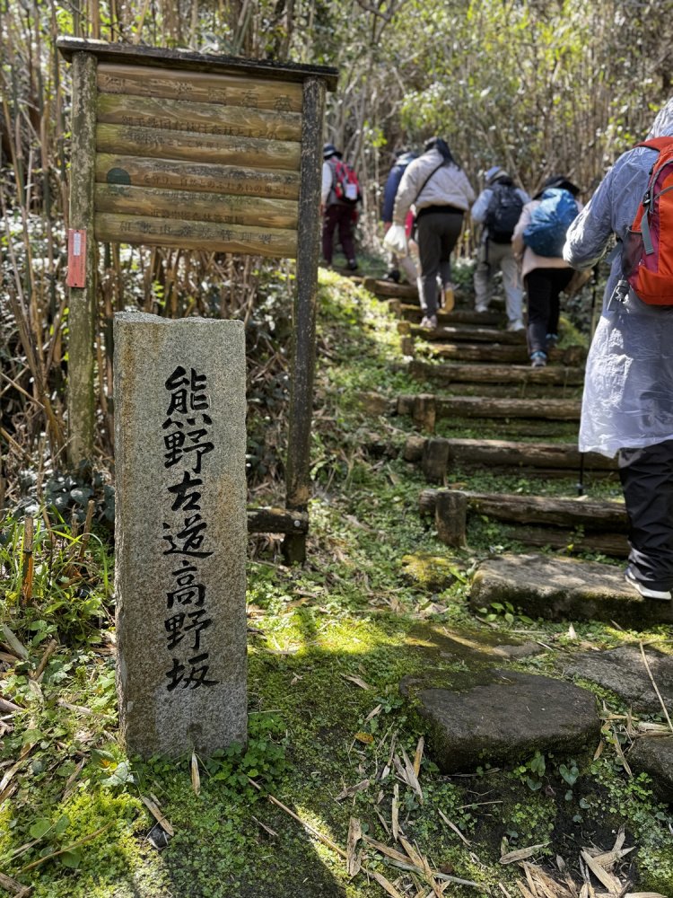 ここから古道らしくなっていく。