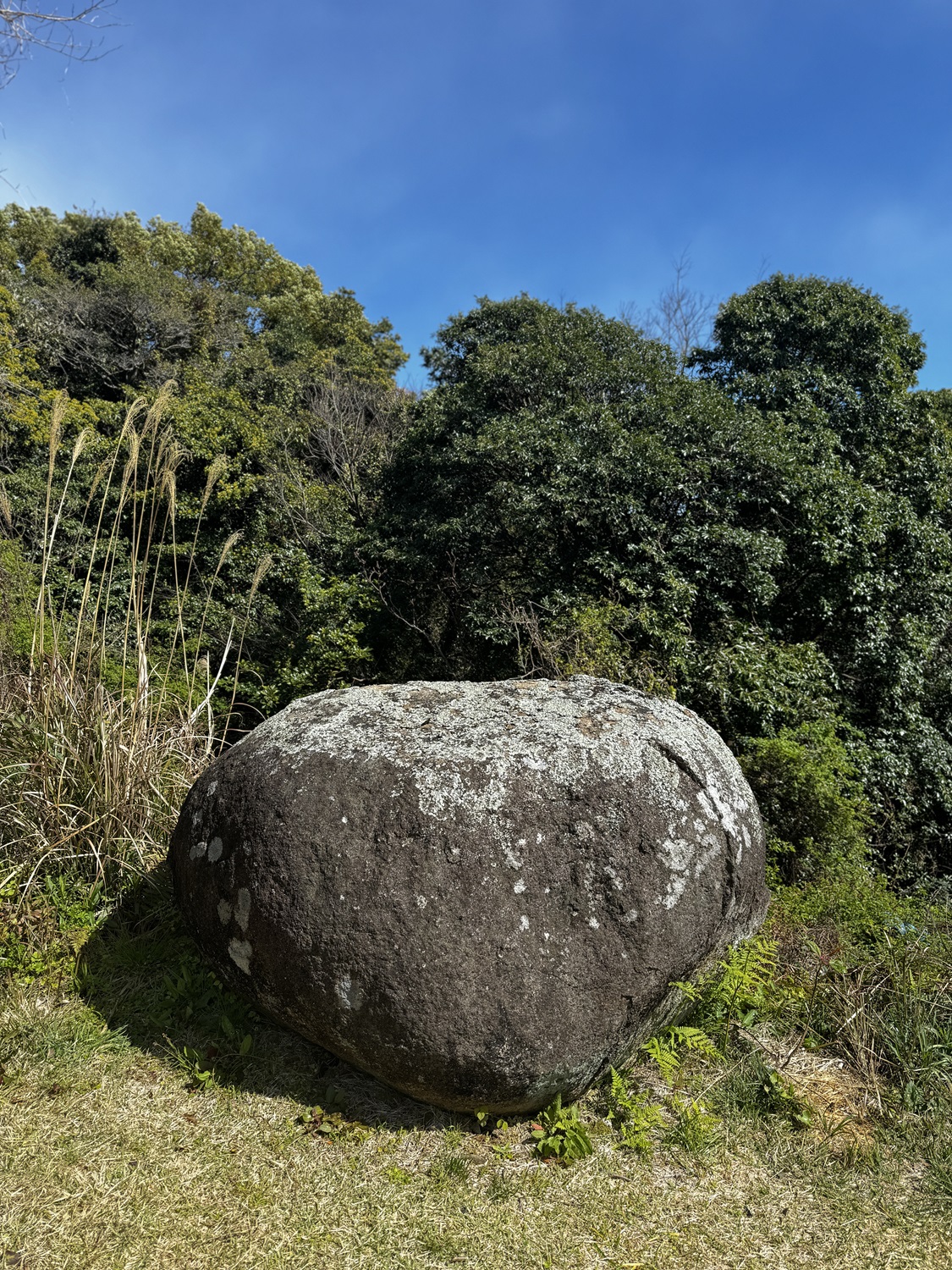 丸い大きな石は弁慶の力石。