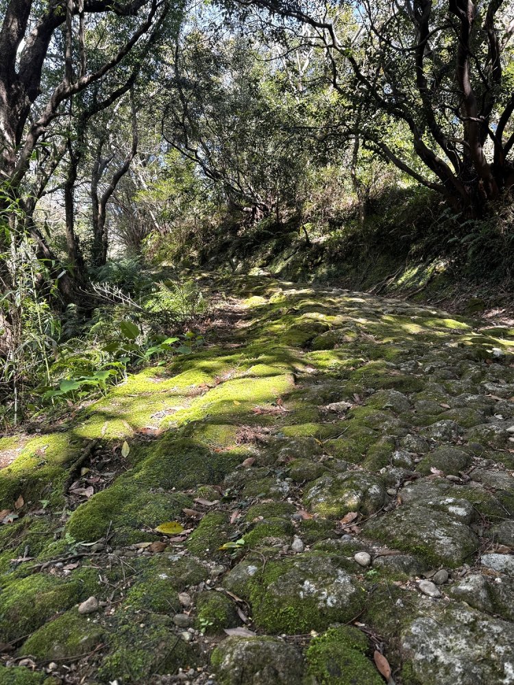 ここを歩きたかった！ ハイライトの石畳。滑りやすいので気をつけて。