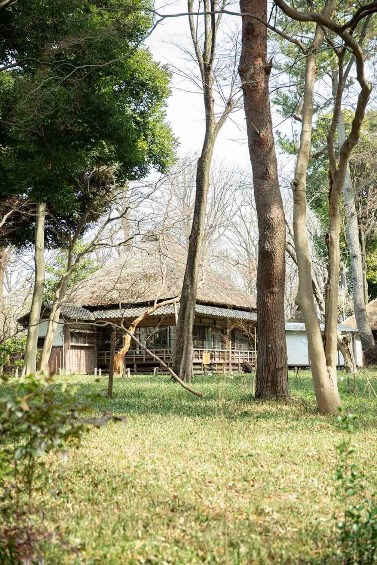 千歳烏山駅から南東へたどって蘆花恒春園へ。
