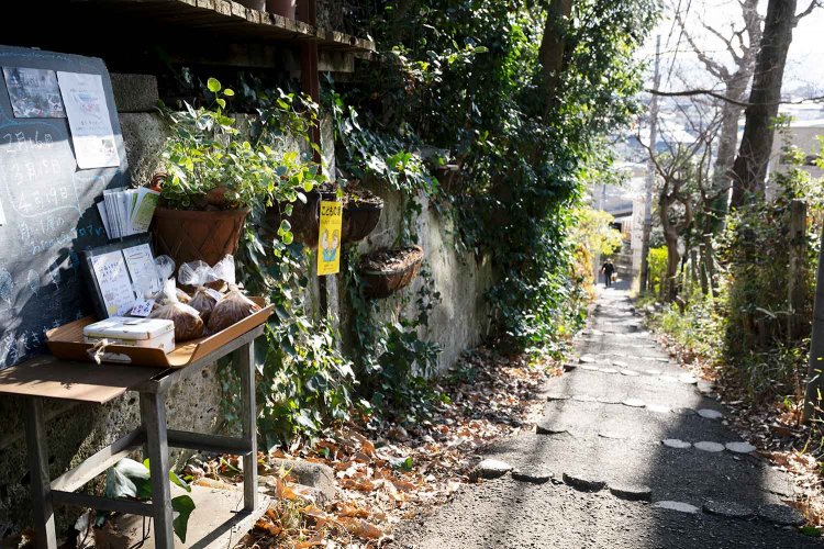 国分寺崖線へ続くつつじヶ丘方面を見下ろせる坂道。富士山が望めることも。