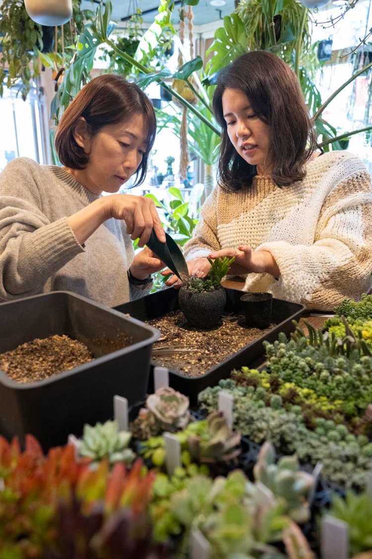 【散歩の達人】仙川・つつじヶ丘