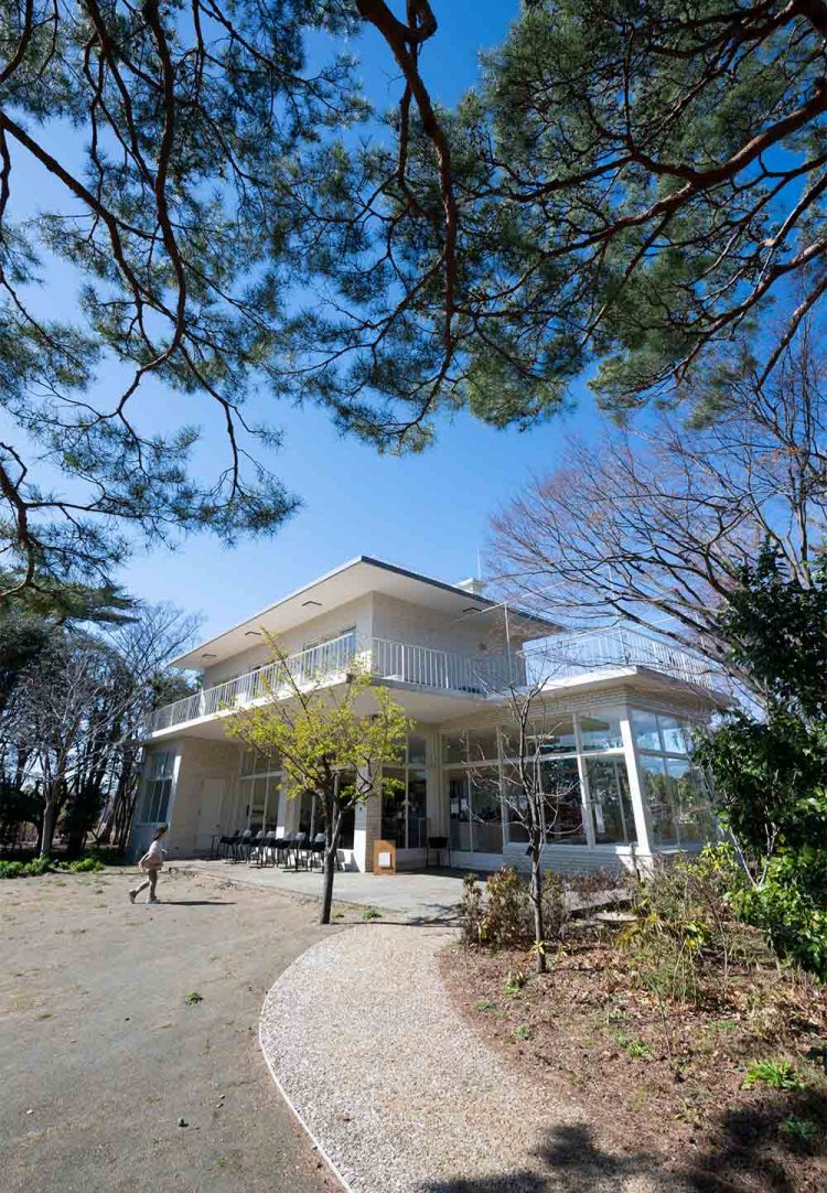 【散歩の達人】仙川・つつじヶ丘