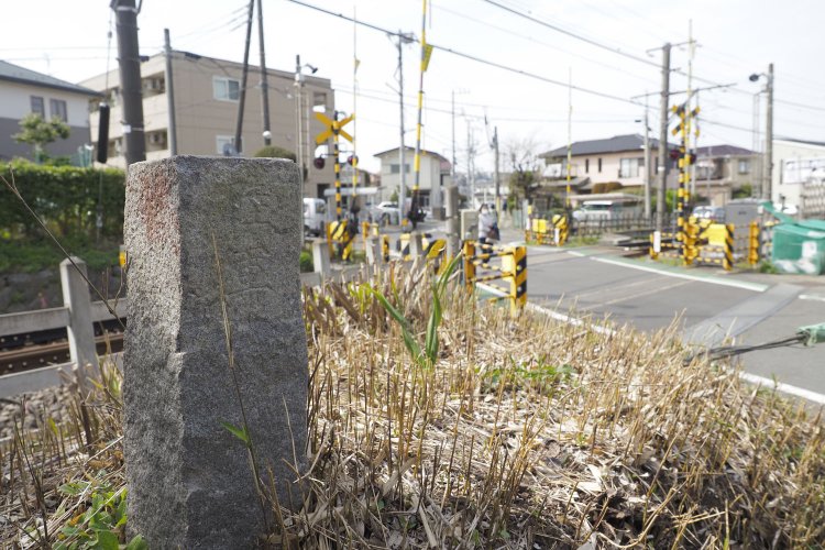 踏切脇で陸軍見つけた。