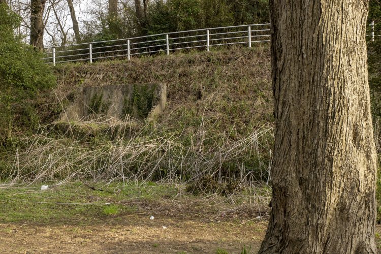 中央広場の近くには田奈弾薬庫の遺構と思しきコンクリートの構造物が斜面から露出していた。