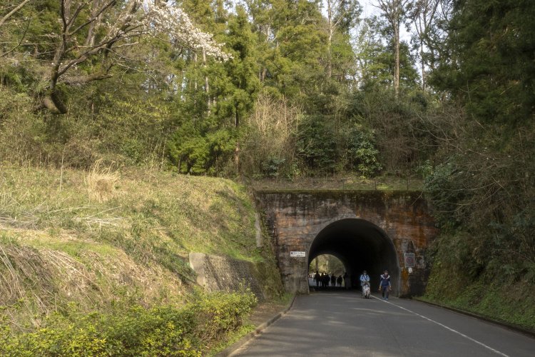 園内の周遊道路は田奈弾薬庫の道路の一部を活用した。中央広場の近くには第1トンネルが口をあけている。左手には広場があり、田奈部隊の司令部があった。