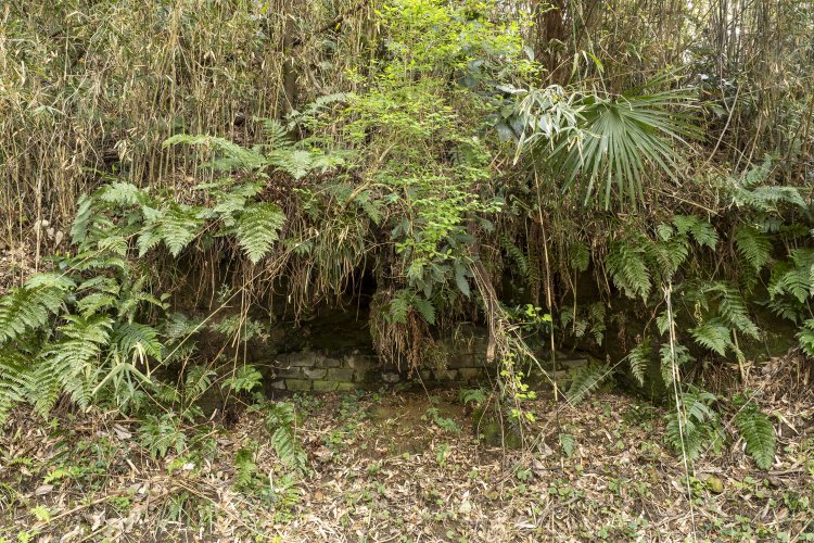 第1トンネル手前の雑木林を見ると、斜面を埋めた痕跡があった。壕でもあったのだろうか。