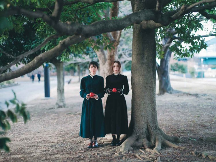 【camell】Photoshopの新AI機能「削除ツール」