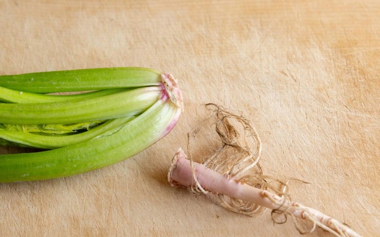 【東京おでんだね】おでんのほうれん草の調理方法