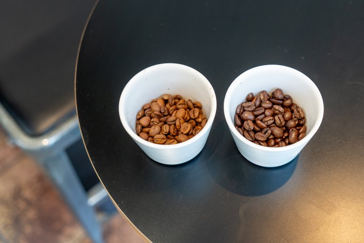 国分寺 府中 TAILWIND coffee brewers