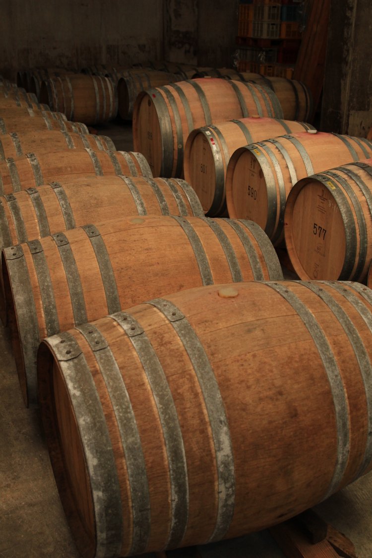 年間15度前後に保たれる地下樽熟庫。